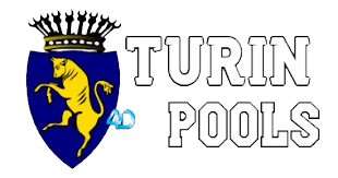 turin logo